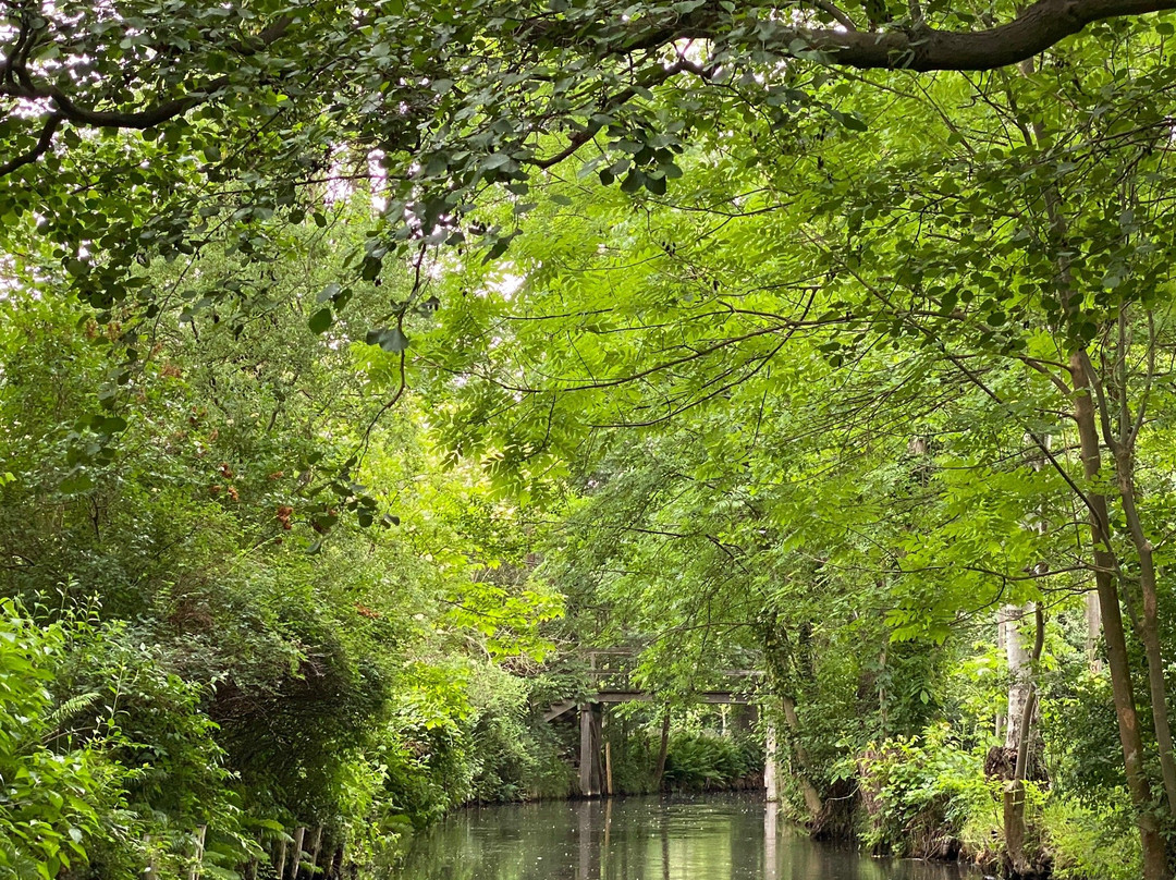 Kais Spreewald Kahnfahrten景点图片