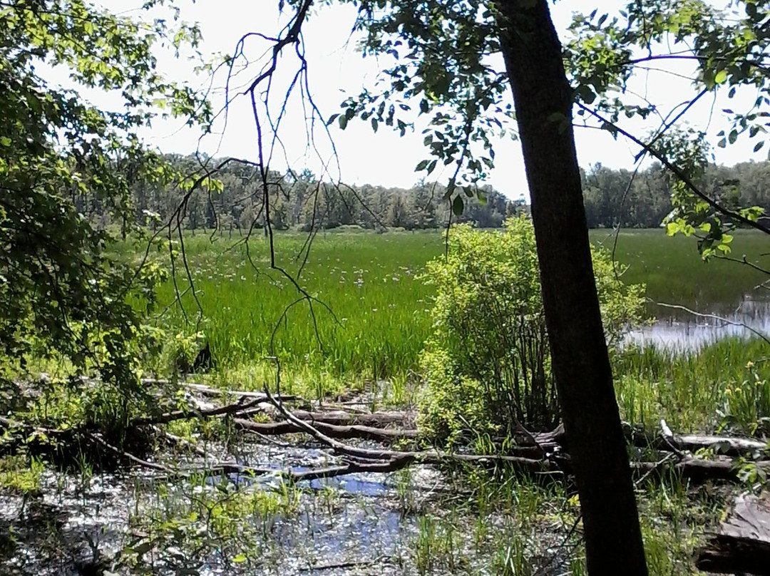 Westmeath Provincial Park-Westmeath必去景点