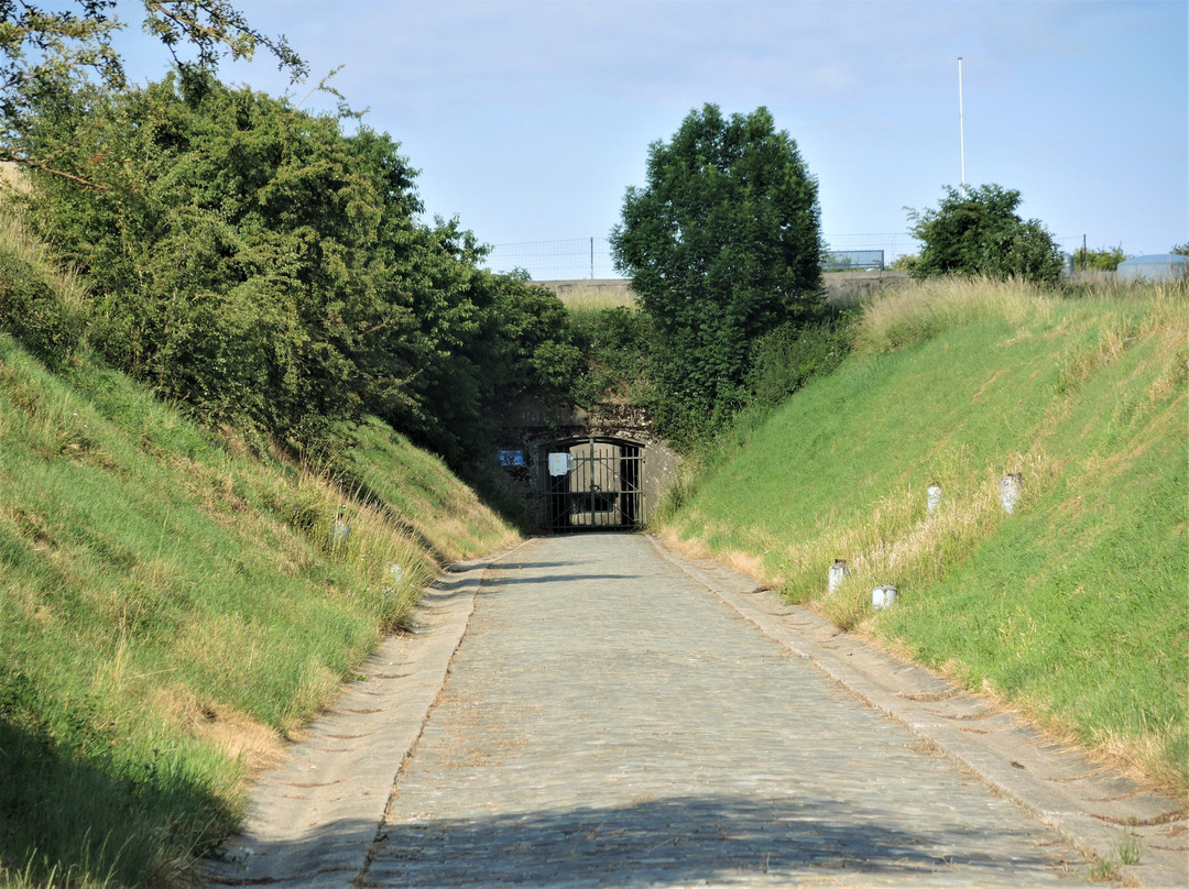 Fort d'Aubin Neufchateau景点图片