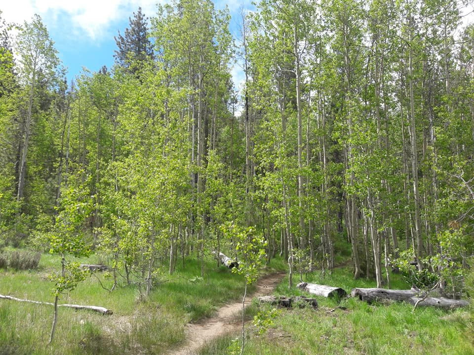 Spooner Lake-Glenbrook必去景点