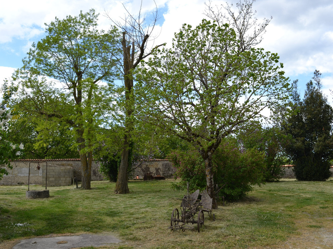 Les Raisins de L'Abbaye-Asnieres-la-Giraud必去景点