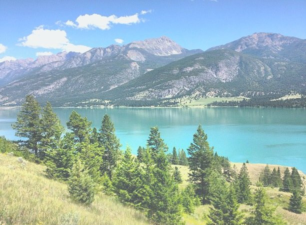 Columbia Lake Provincial Park景点图片