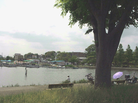 Teganuma Park-我孙子市必去景点