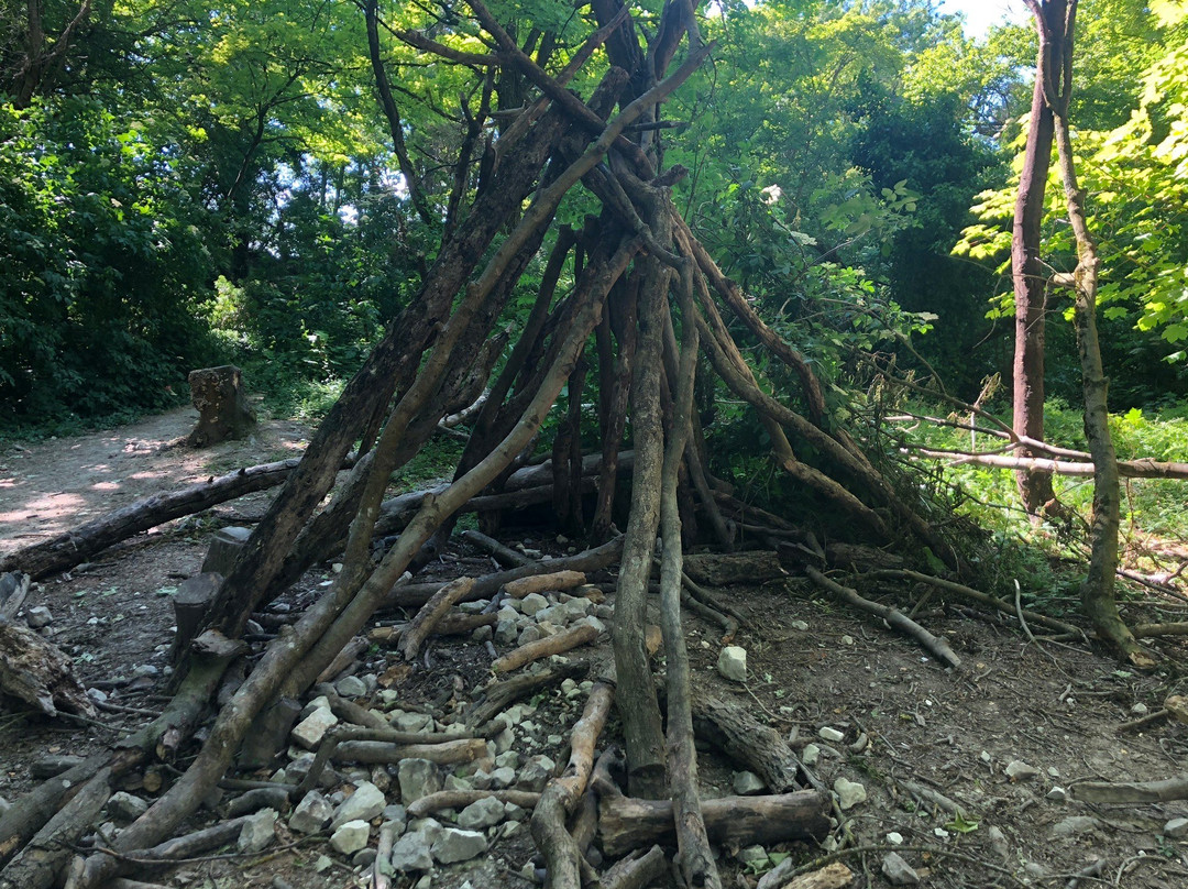 Harlton Clunch Pit and Woods-Harlton必去景点