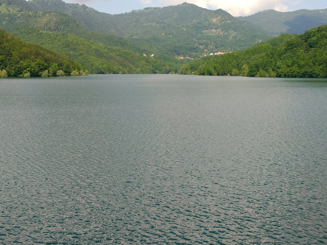 Lago del Brugneto景点图片