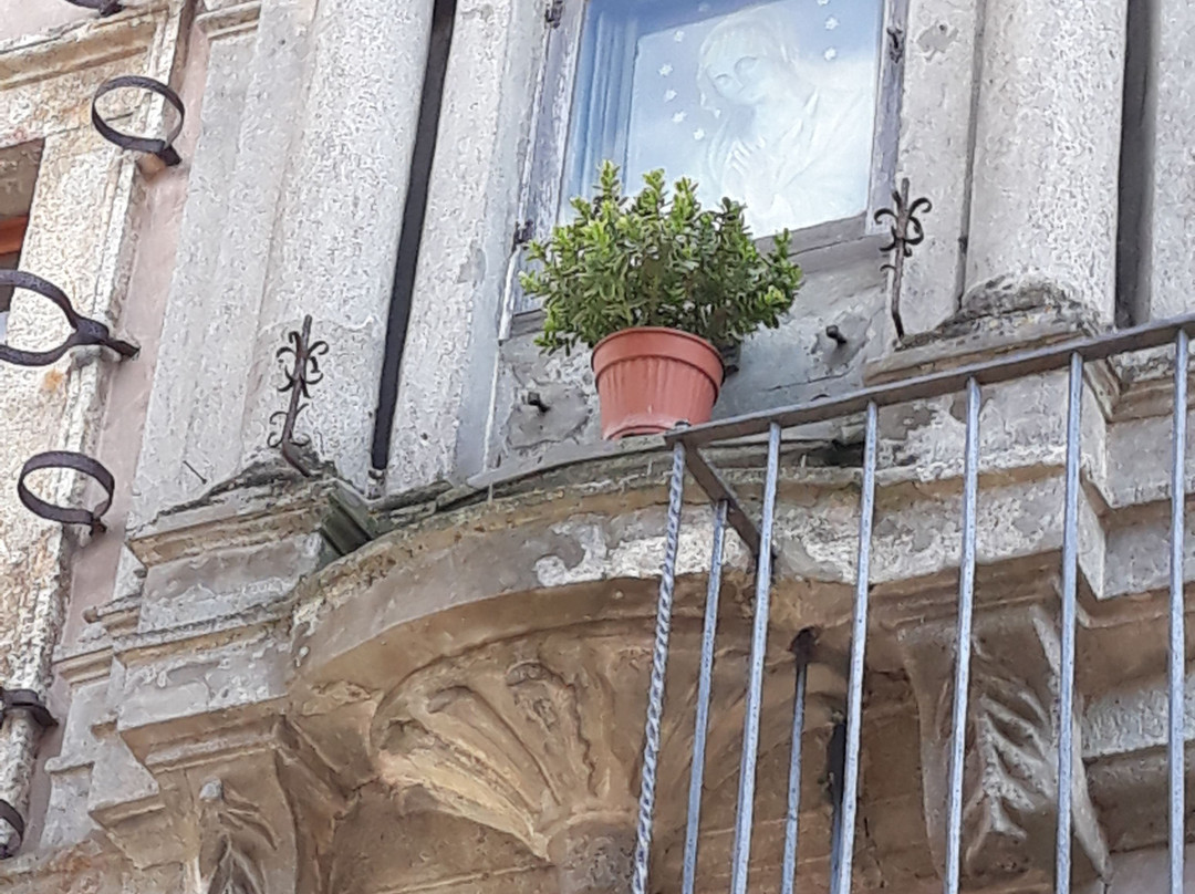 Palazzo Panetti景点图片
