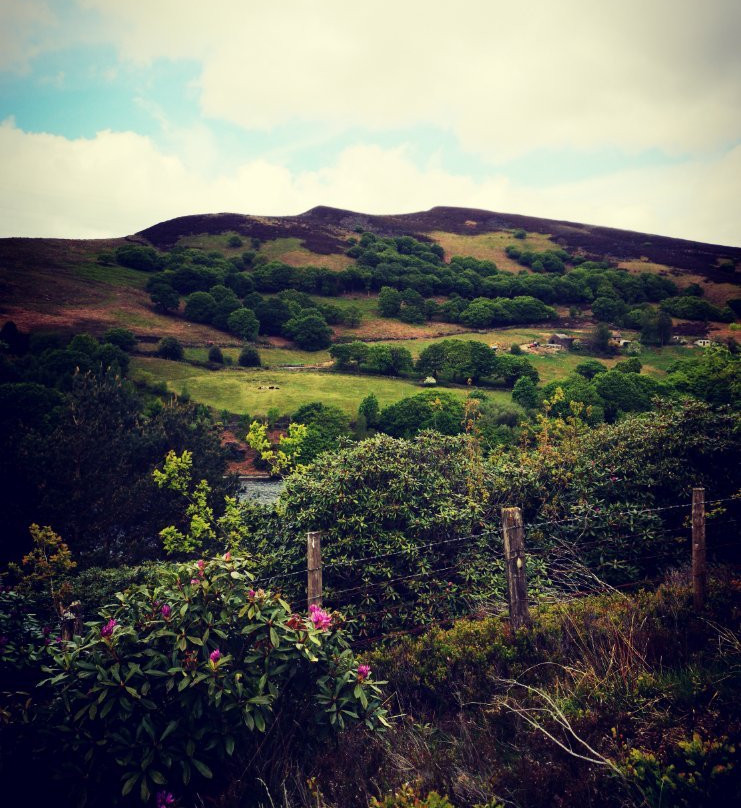 Stalybridge Country Park景点图片