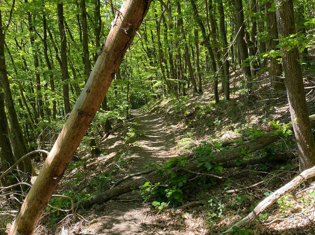 Nationalpark-Zentrum Eifel-Schleiden必去景点