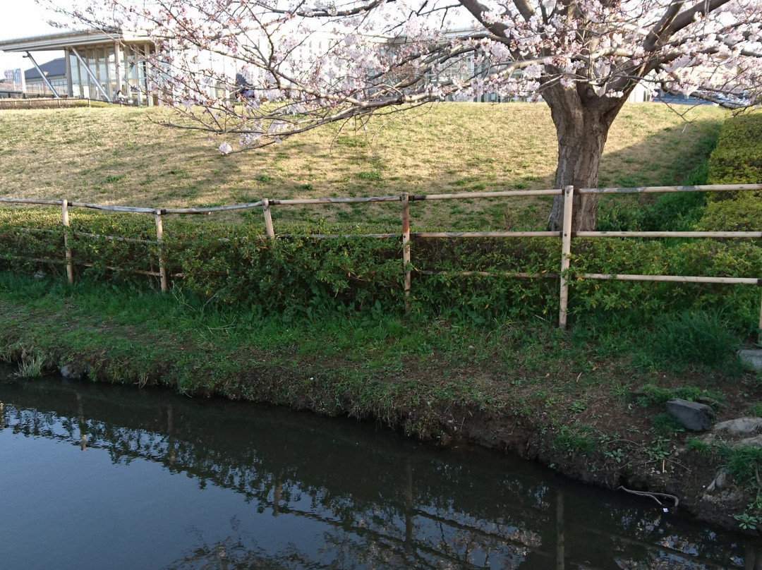Michi-no-Eki Shonan景点图片
