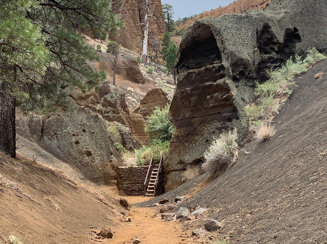 Red Mountain Trail-弗拉格斯塔夫必去景点