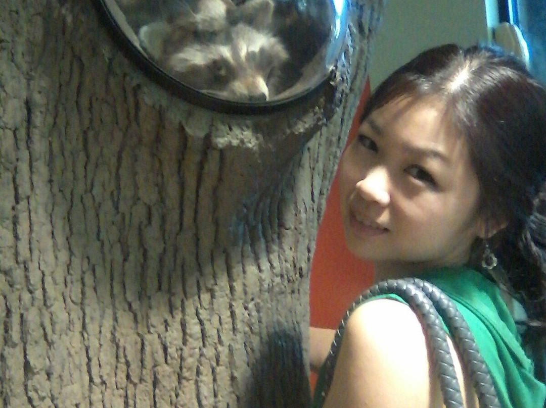 Cleveland Museum of Natural History-克利夫兰必去景点