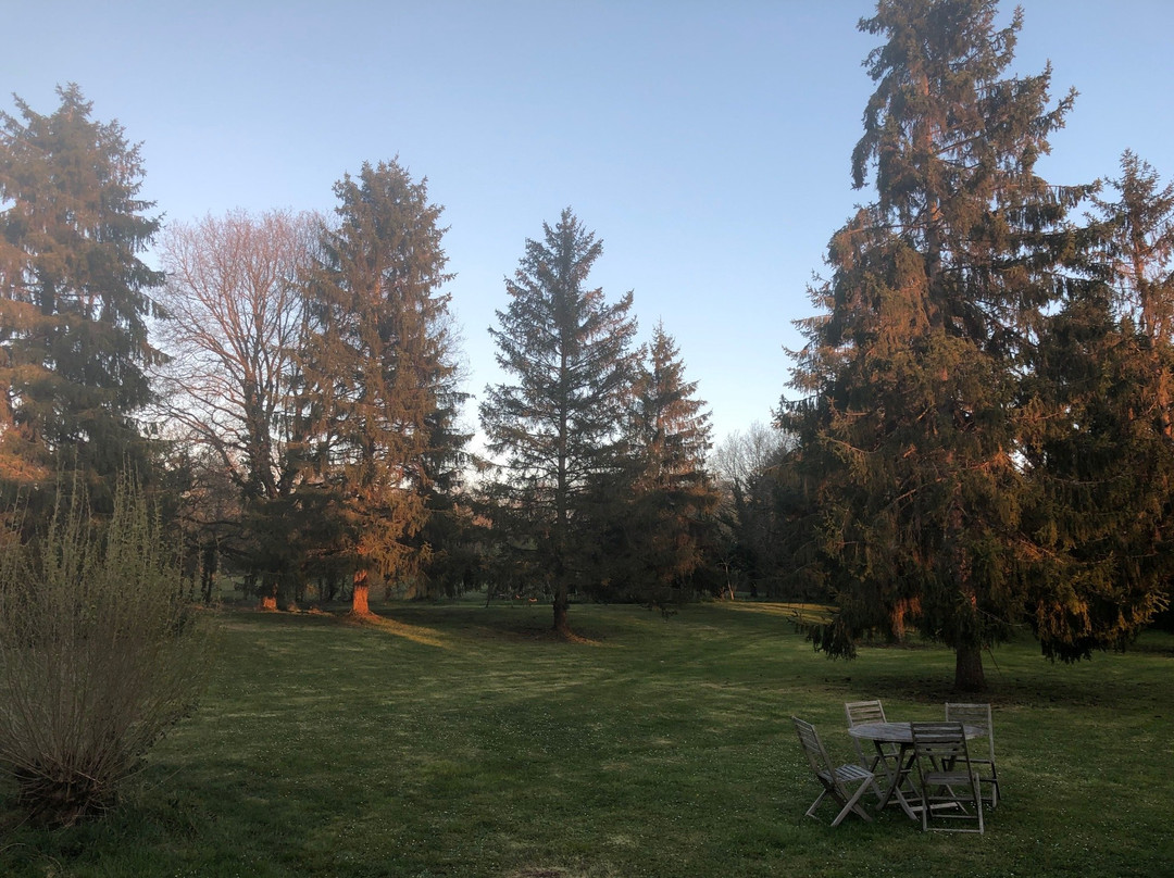 Les colonnes de Chanteloup主图