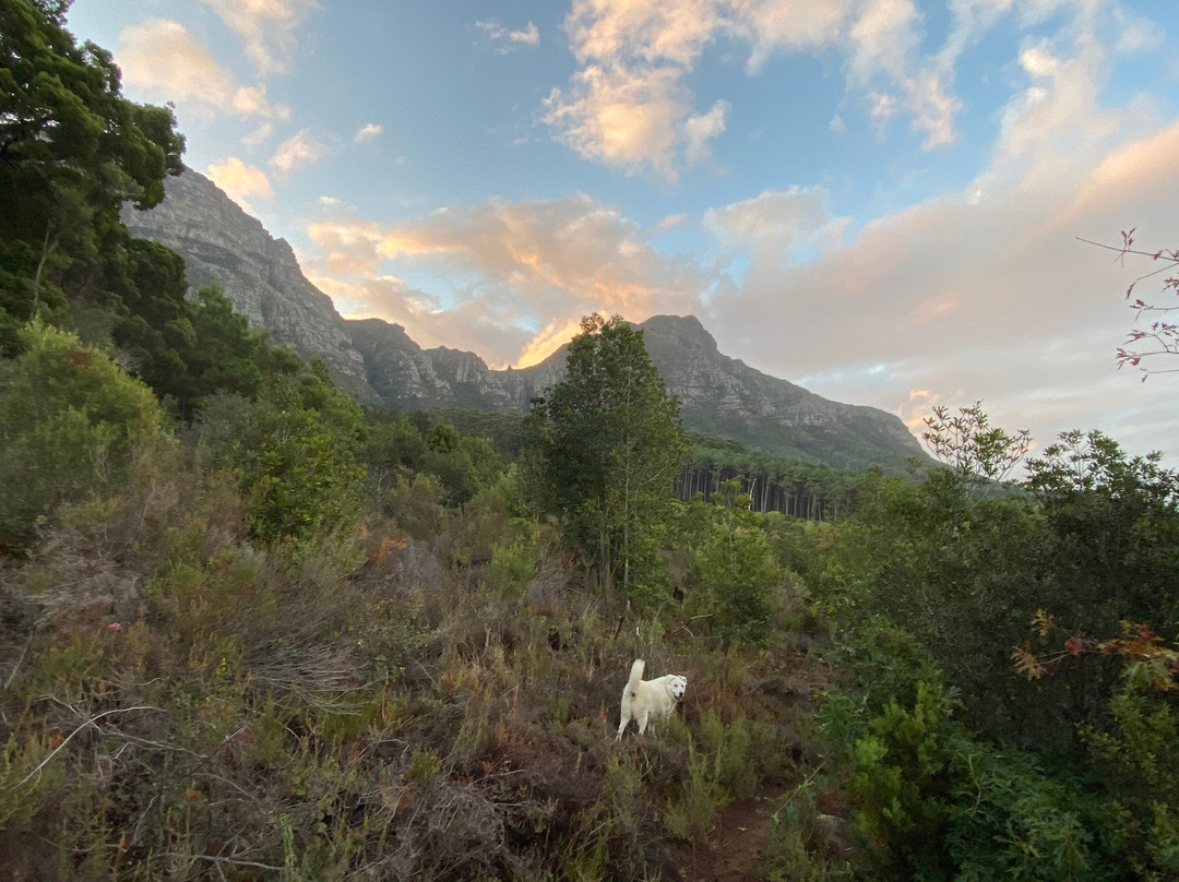 Panorama Guest House主图