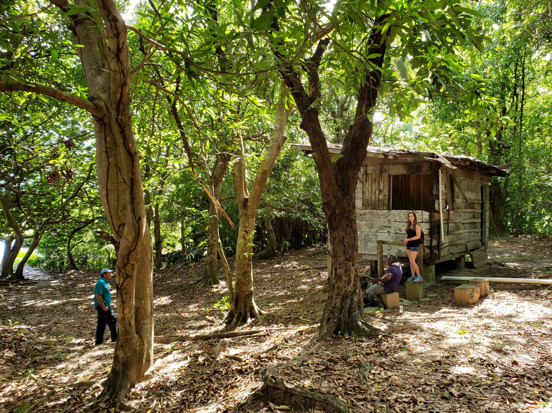 Bush Bush Wildlife Sanctuary-Mayaro必去景点