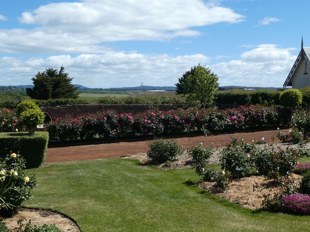 National Rose Garden景点图片