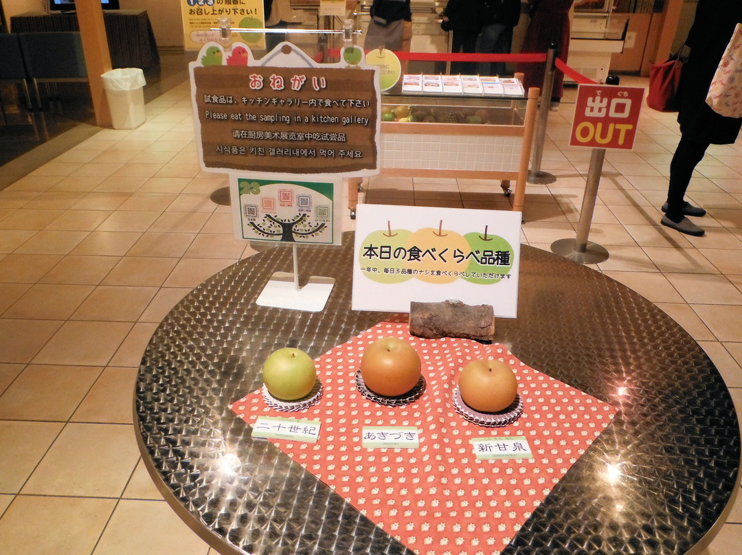 Pear Museum景点图片