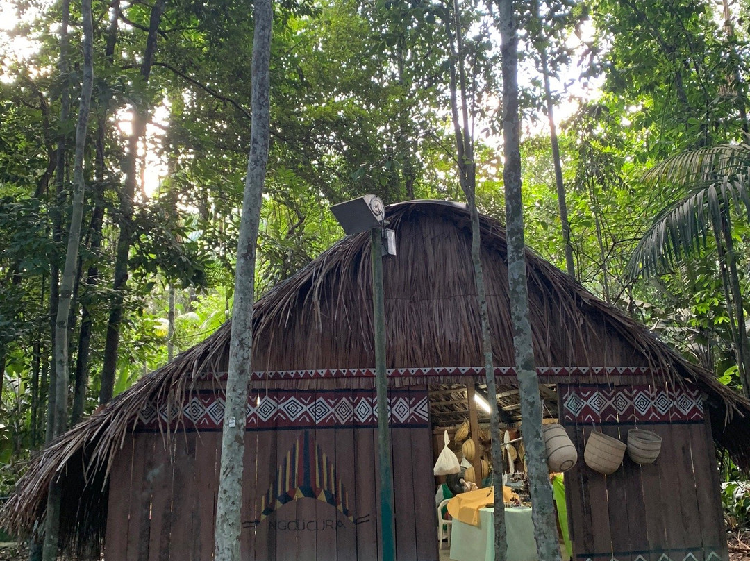 Bosque da Ciencia-玛瑙斯必去景点