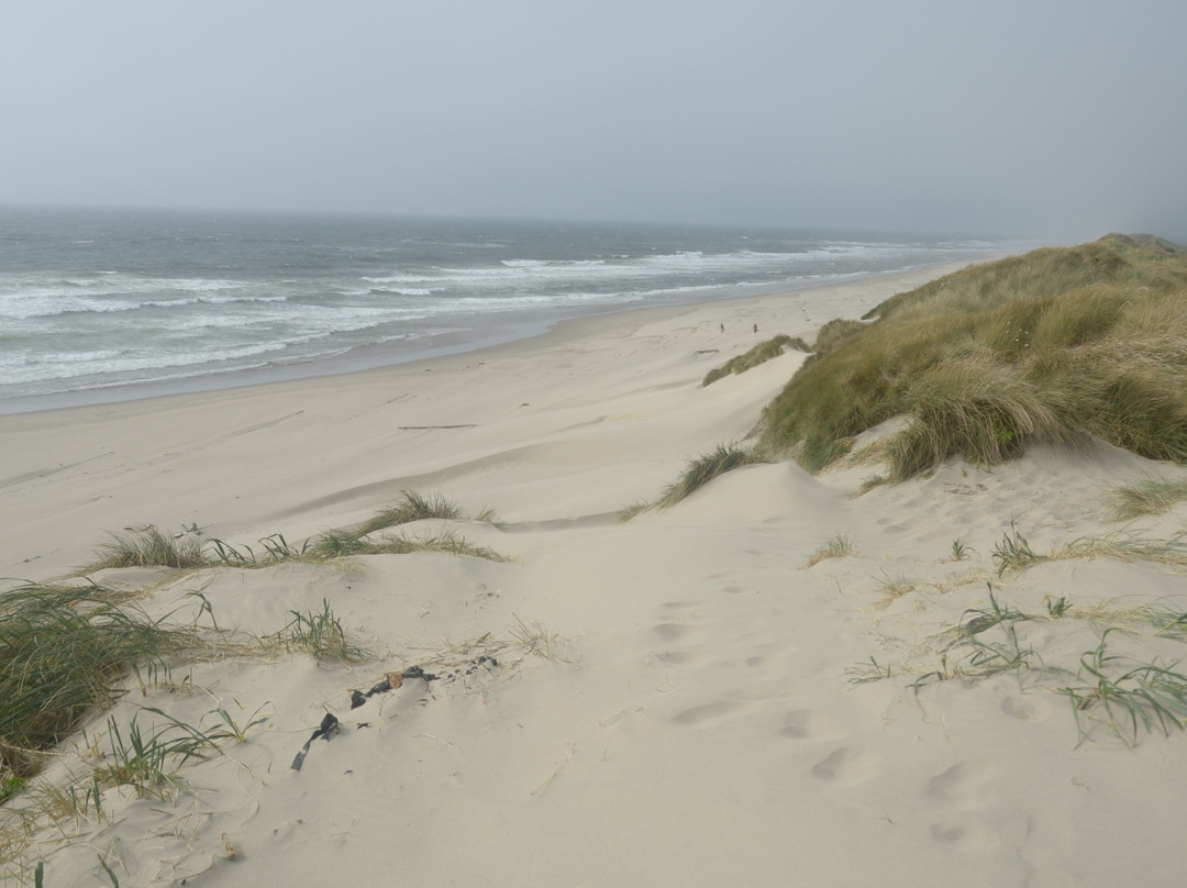 South Jetty County Park-弗洛伦斯必去景点