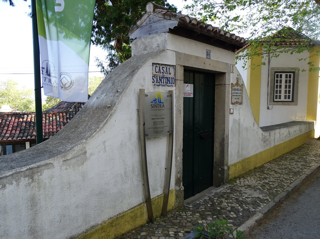 Museu Ferreira De Castro景点图片