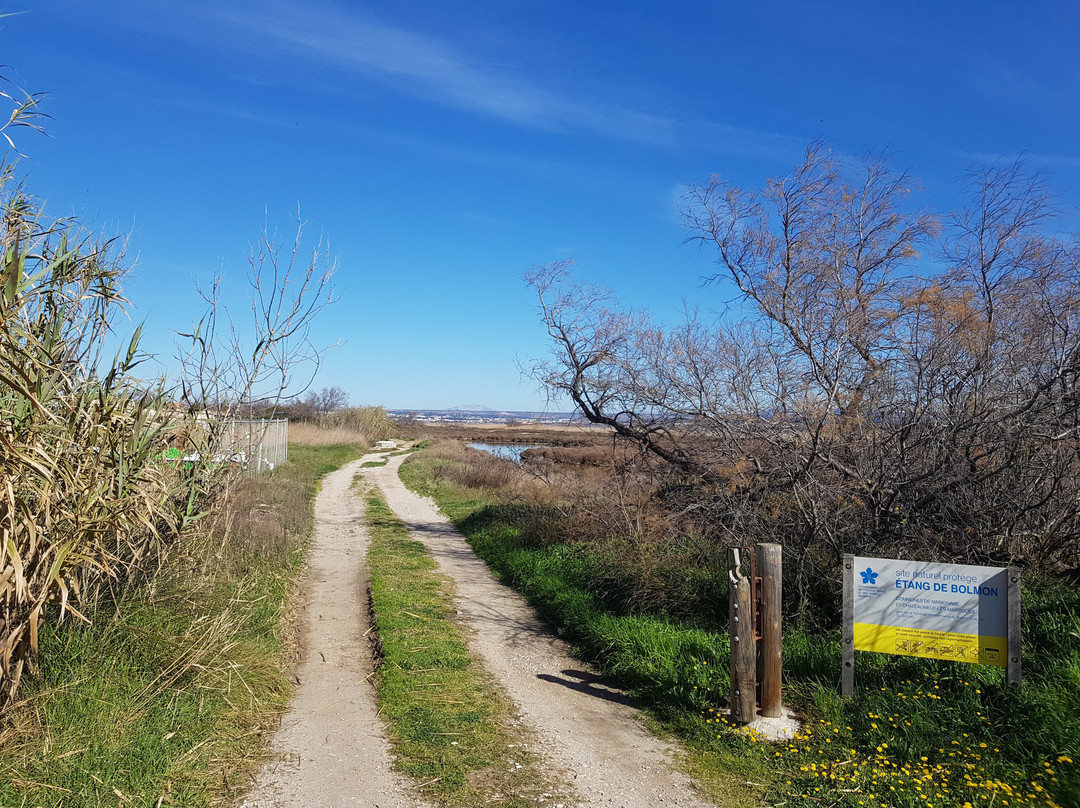 Site naturel protege de l'etang de Bolmon-Chateauneuf-les-Martigues必去景点