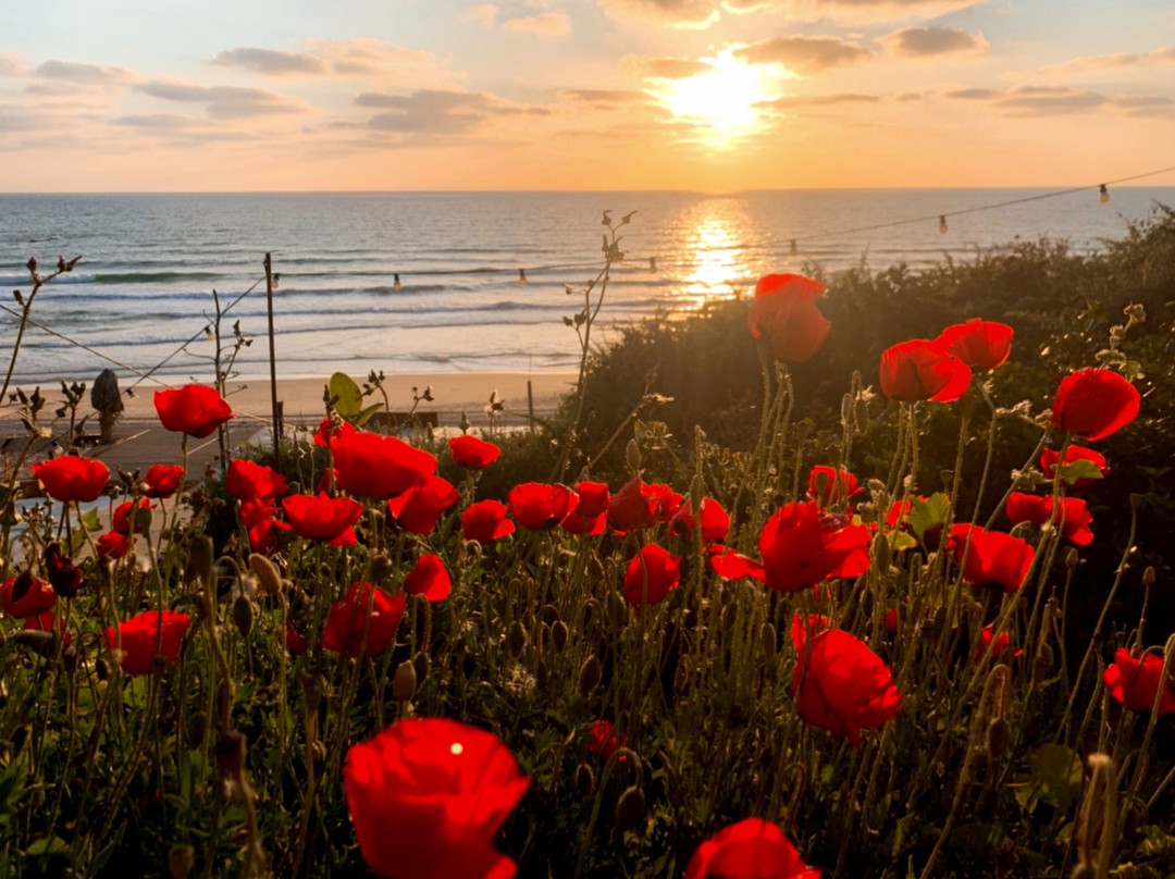 Bat Yam Boardwalk-Tayelet-Bat Yam必去景点