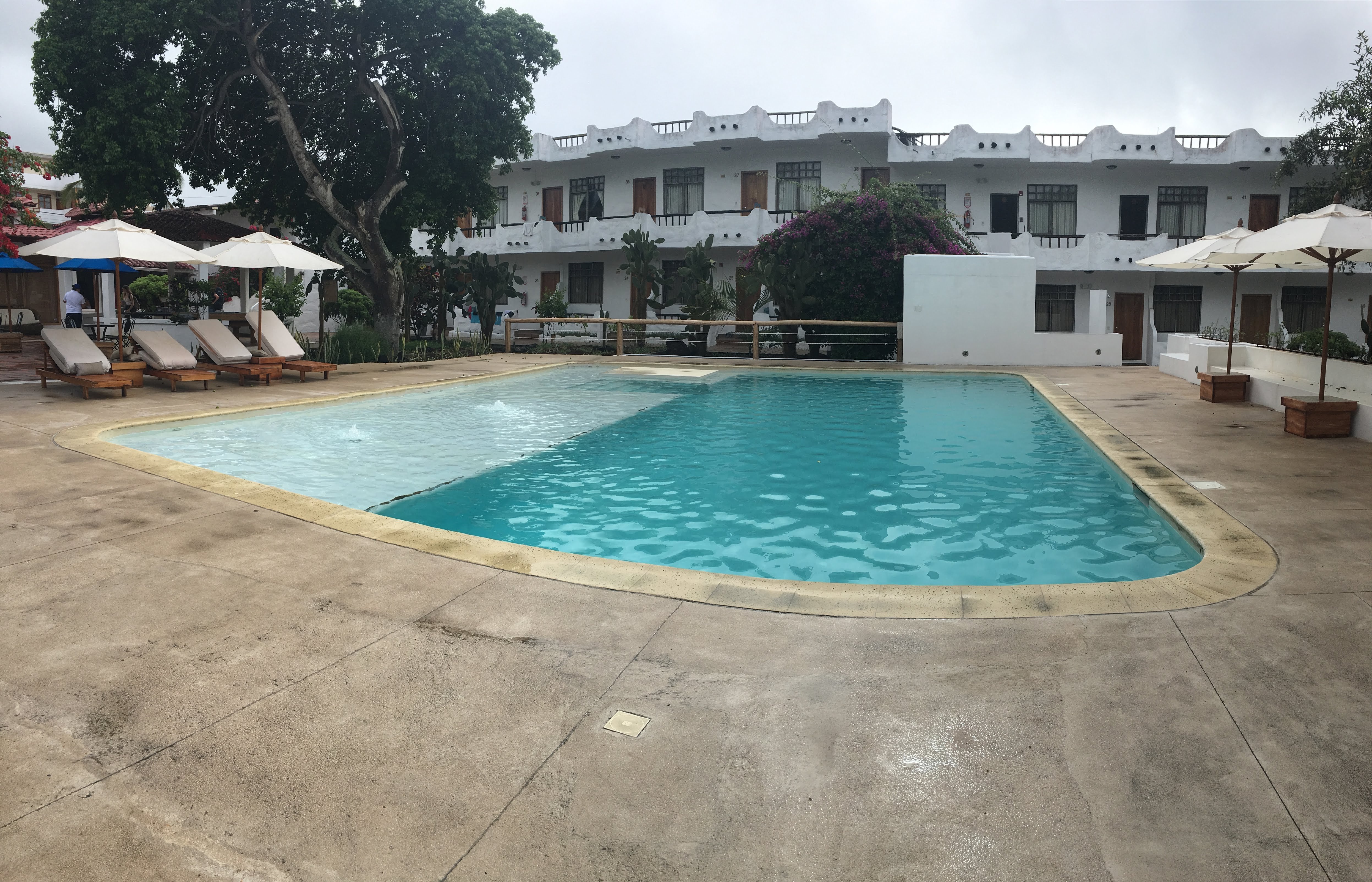 Hotel Fiesta-泳池