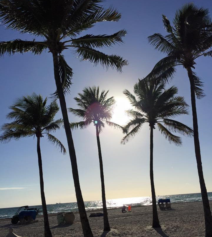 Sea Downs and the Bougainvillea主图