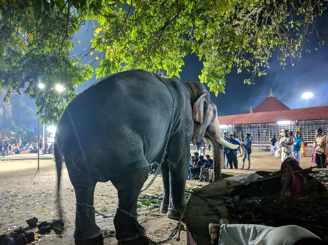 Pepper Voyages-Vaikom必去景点