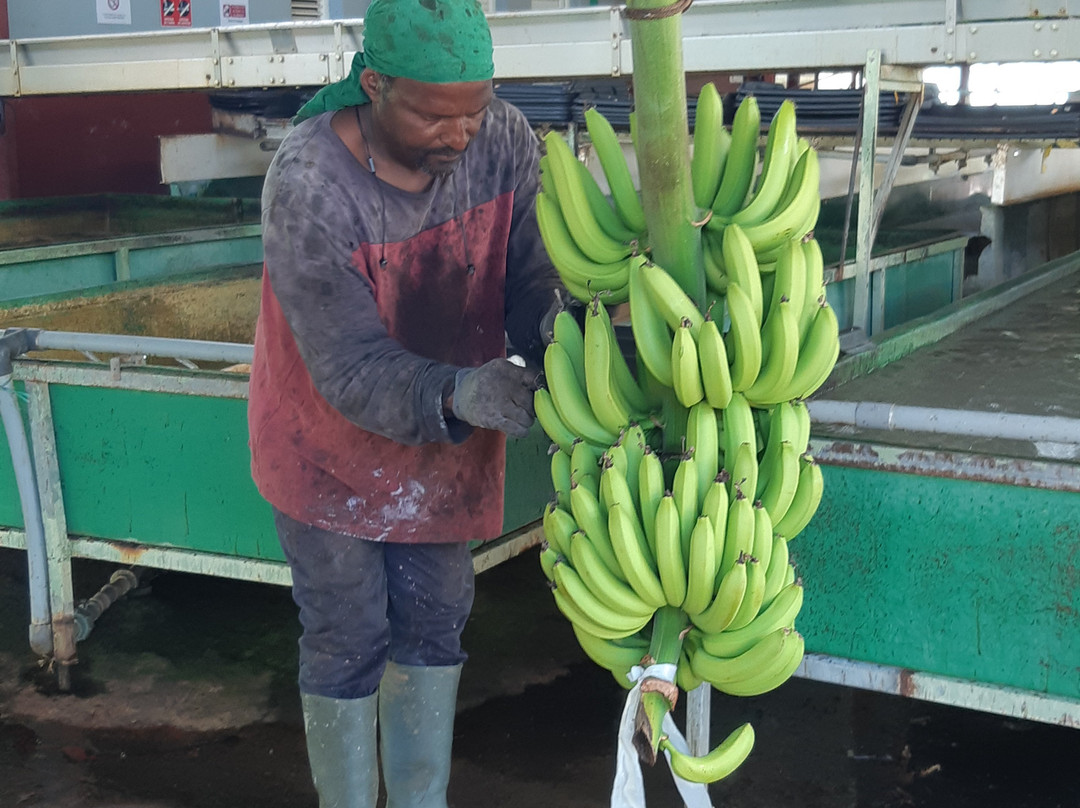 Visit Belfort MQ-Le Lamentin必去景点