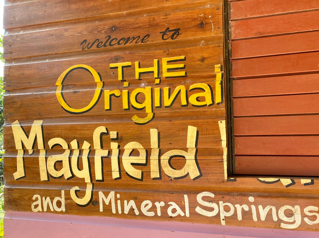 Mayfield Falls & Mineral Springs (Original)景点图片