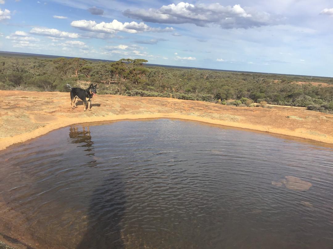 Karalee Dam-南十字星必去景点