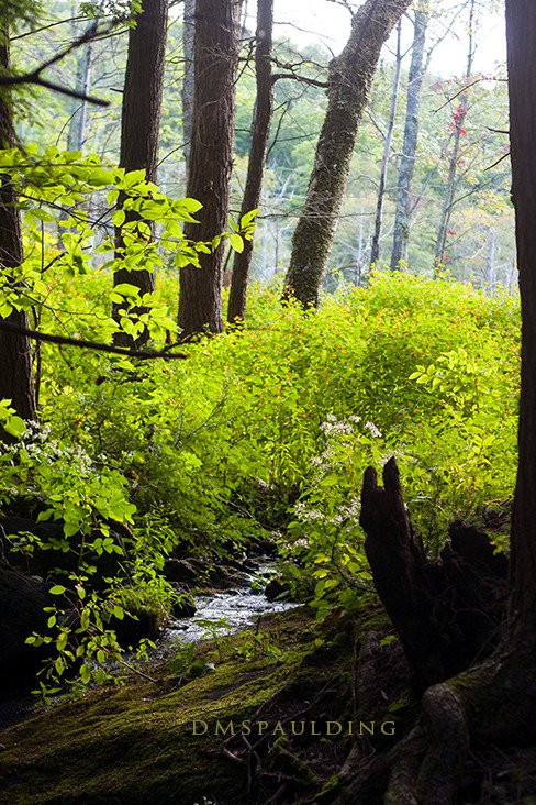 Catamount State Forest-Colrain必去景点