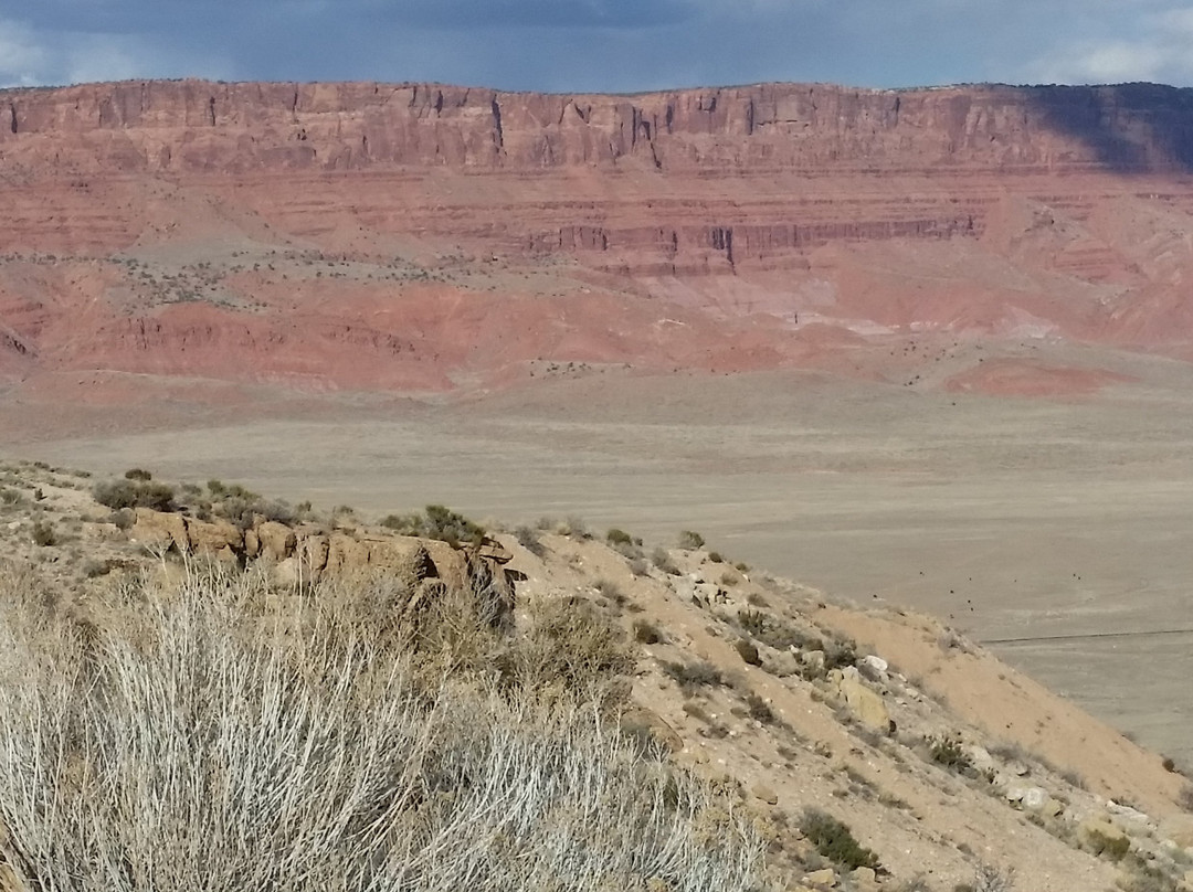 Vermillion Cliffs景点图片