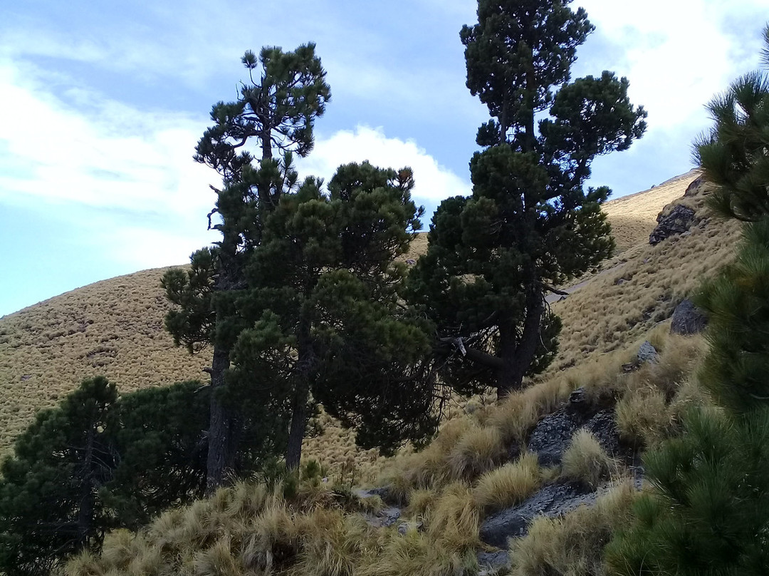 Volcan La Malinche景点图片