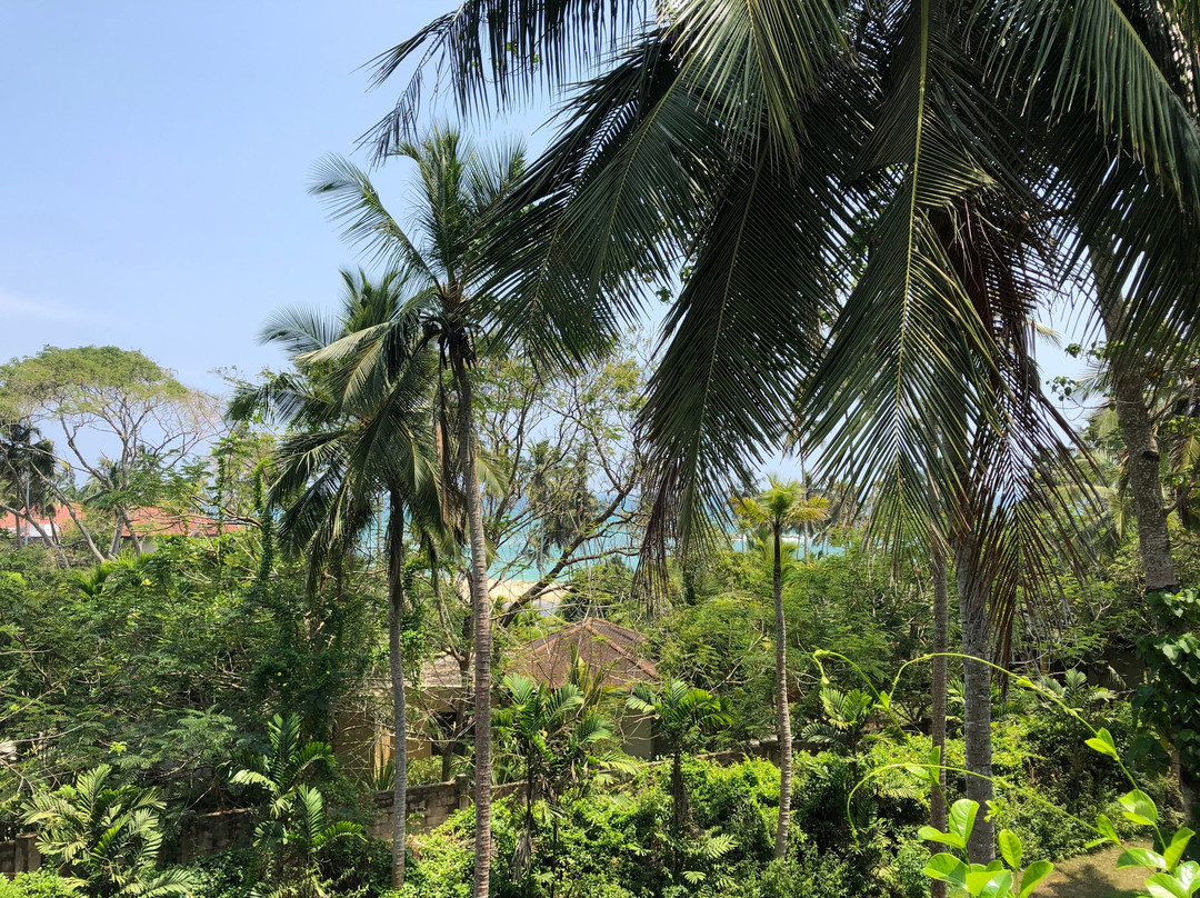 棕榈天堂小屋别墅主图