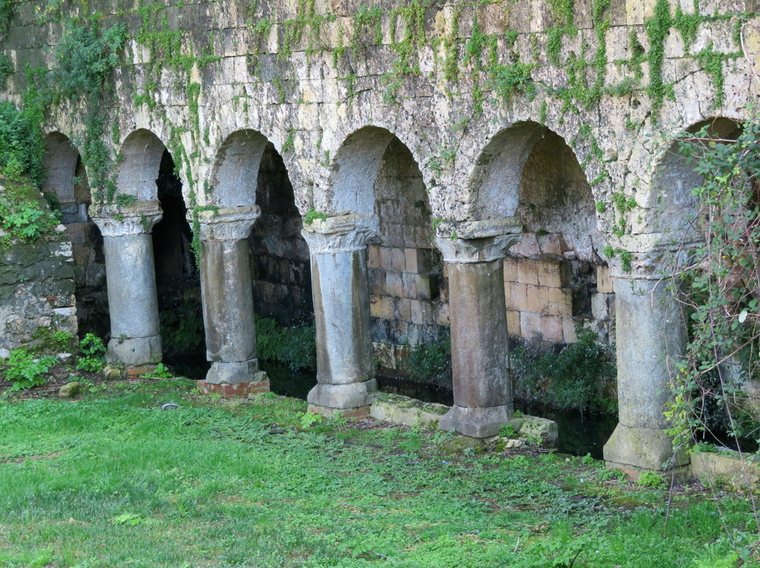 Fontana Nova-塔尔奎尼亚必去景点