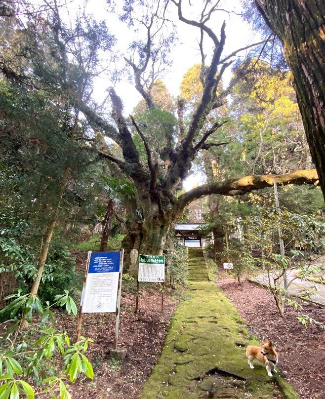 稻山神社景点图片
