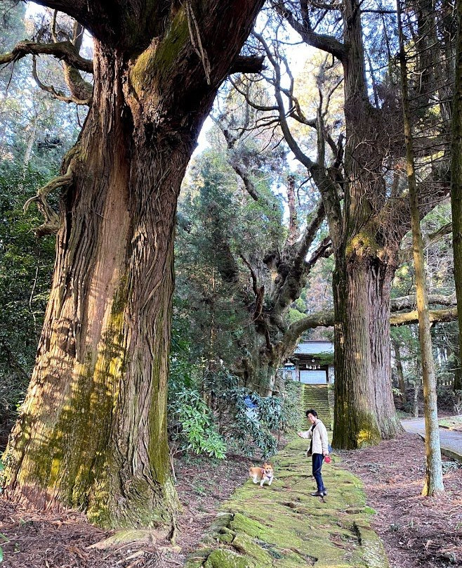 稻山神社景点图片