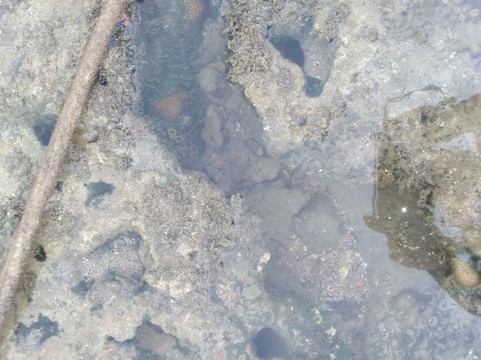 Piscinas Naturais de Porto de Galinhas-嘎林海斯港必去景点