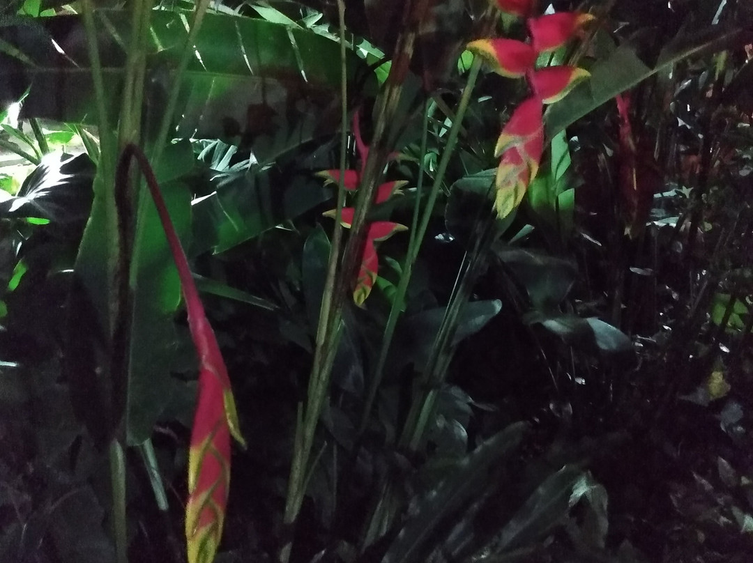 Hostal Villa Sonia主图