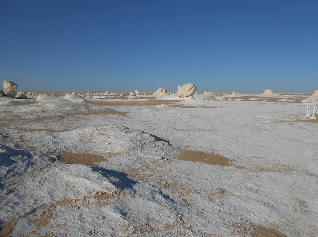 White Desert景点图片