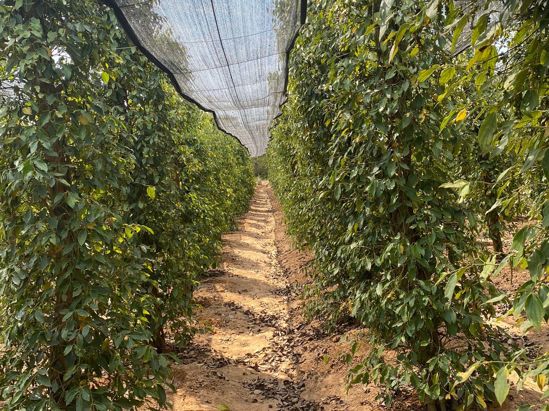 Flying Dog Farm-白马必去景点