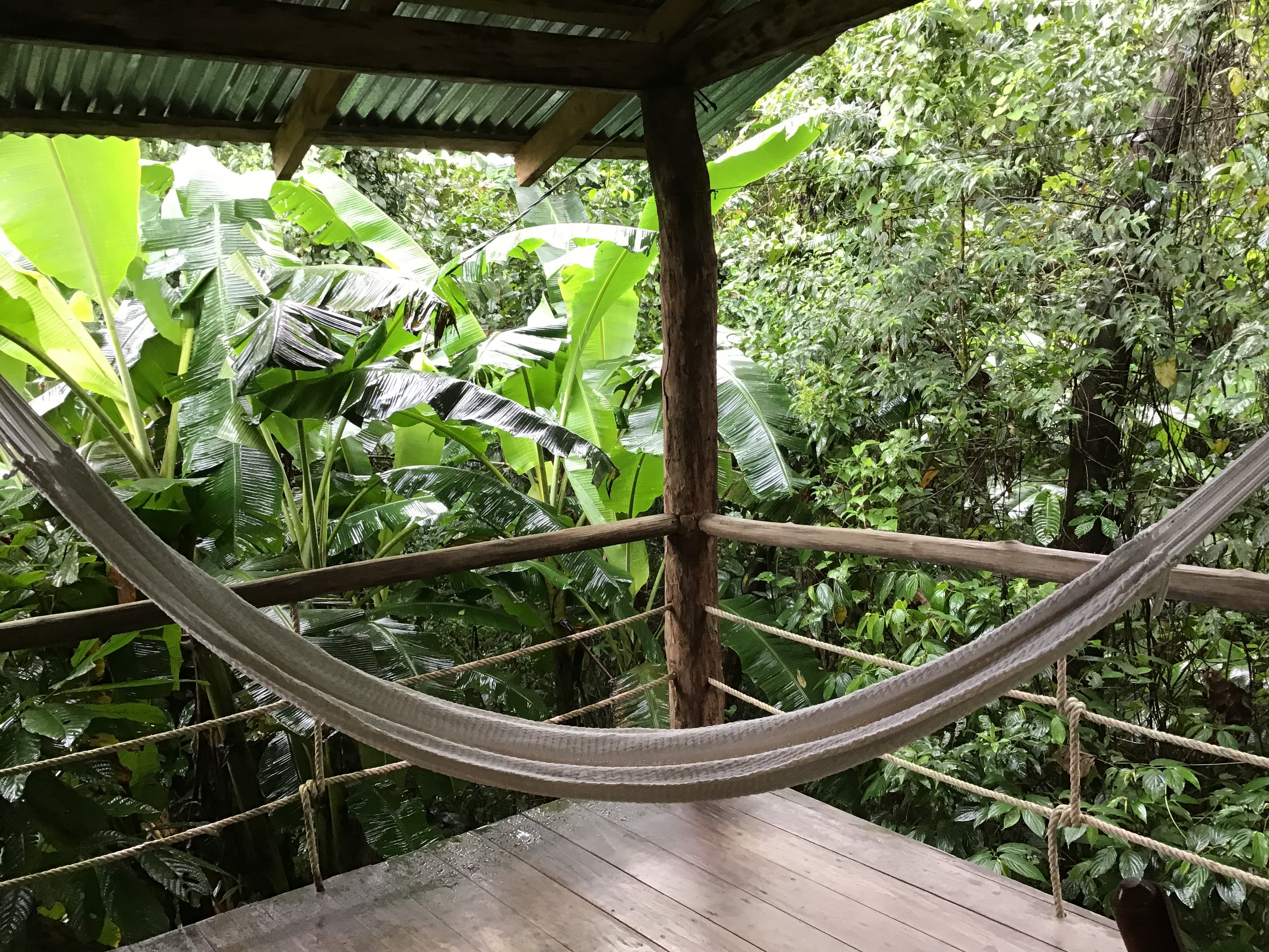 Finca Amistad Cacao Lodge-酒店景观