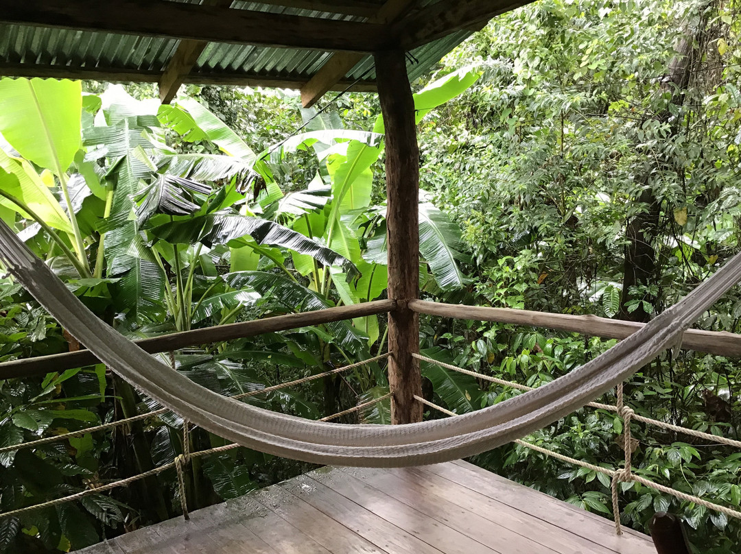 Finca Amistad Cacao Lodge主图