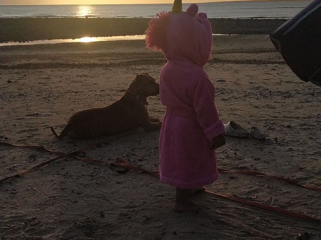 Playa Hermosa-Piriapolis必去景点