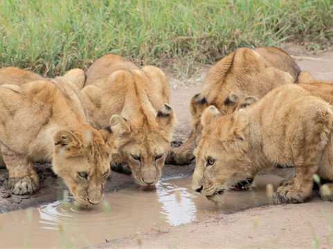 Adventure Travelling