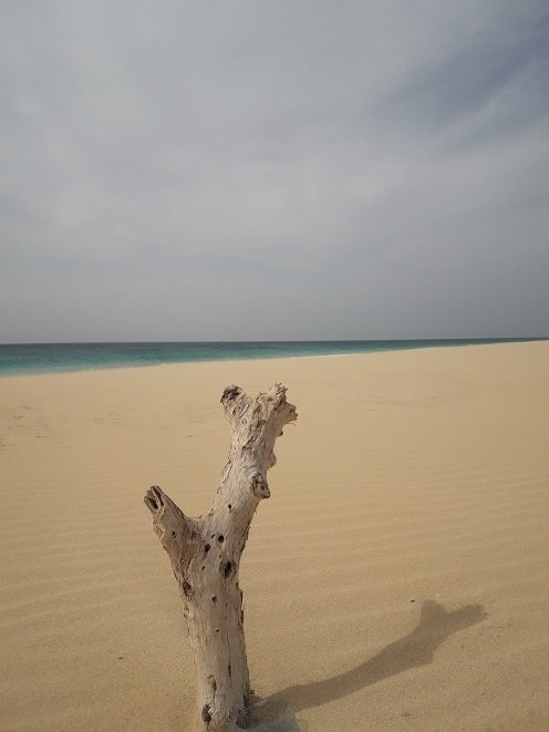 Praia de Santa Monica-博阿维斯塔必去景点