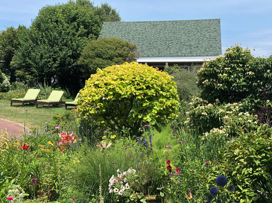 新肖勒姆酒店住宿-Sea Breeze