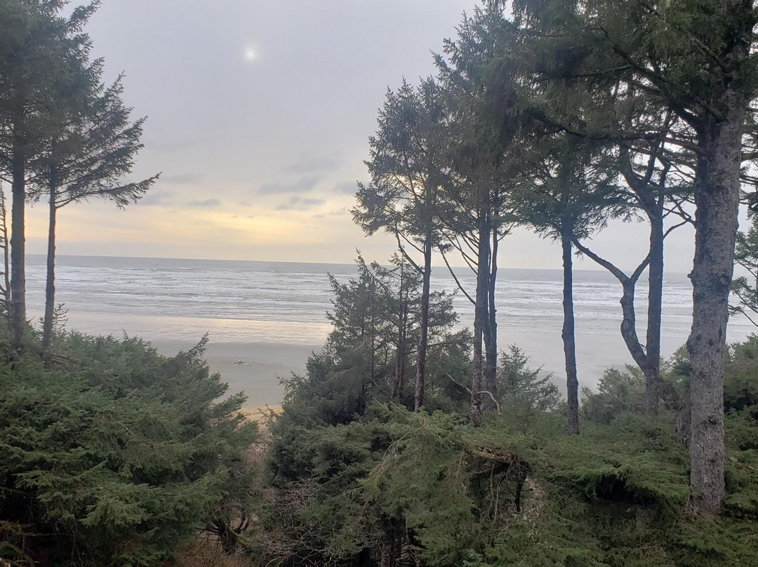 Ocean Crest Resort主图