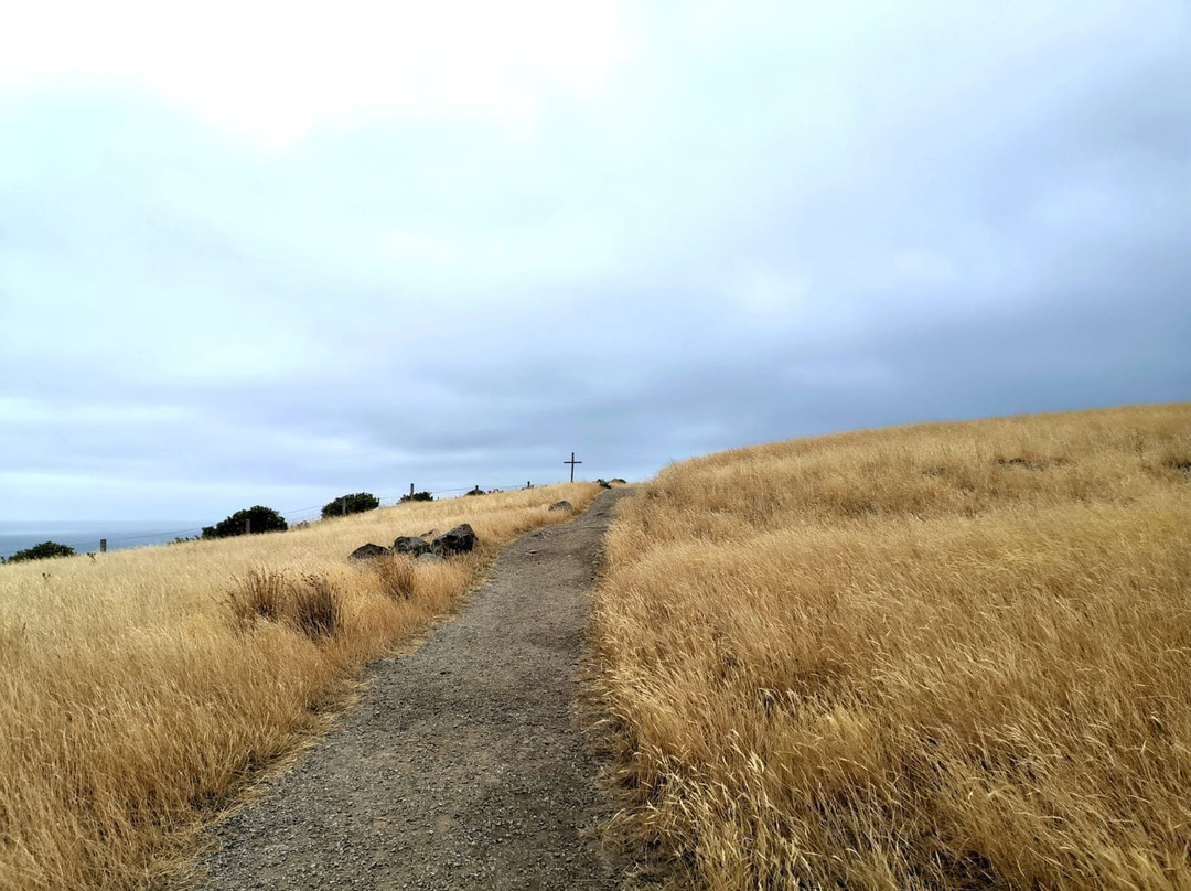 Taylors Mistake - Awaroa / Godley Head Walk景点图片